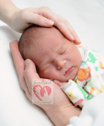 eltern sind das wichtigste für ein kind